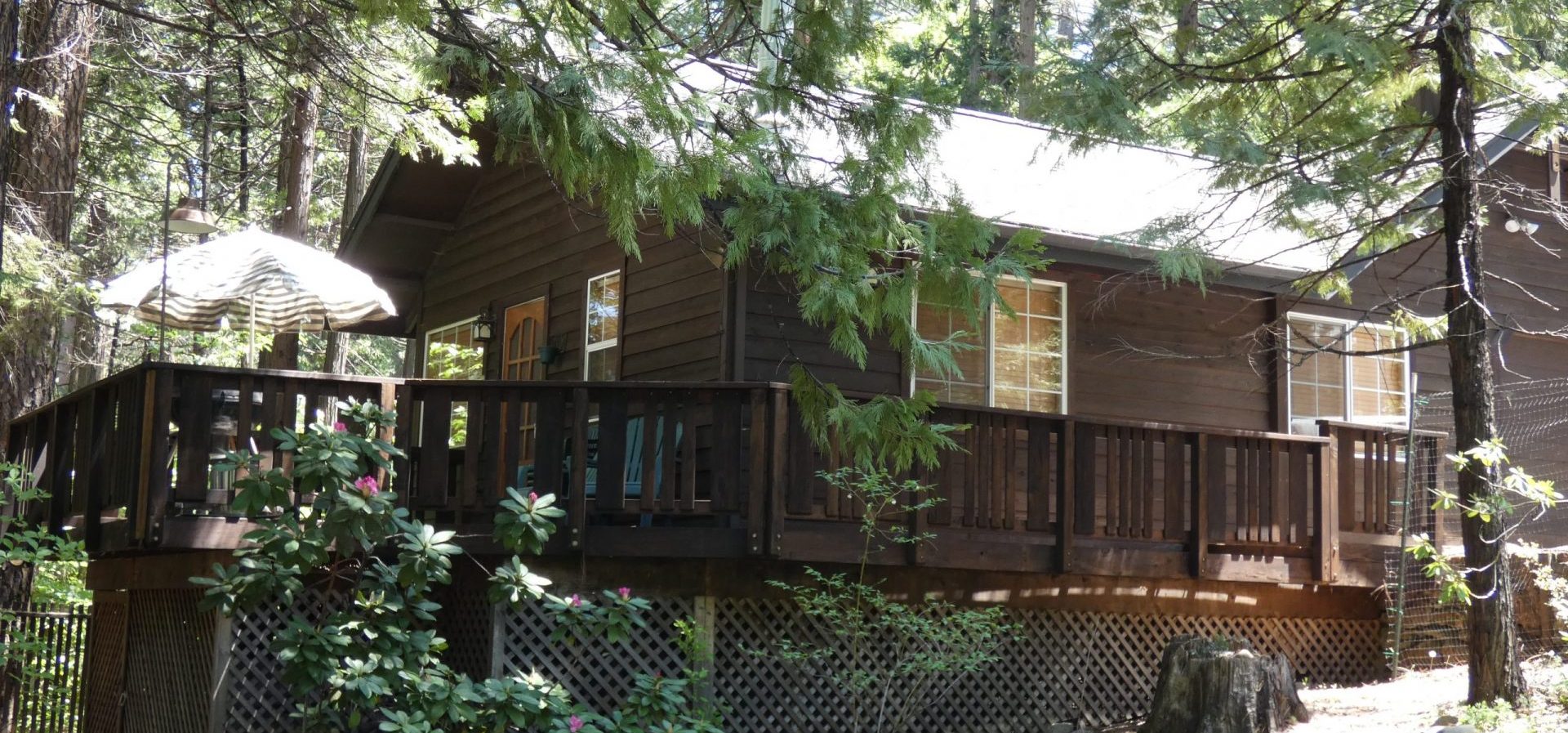 Cabin D exterior0001
